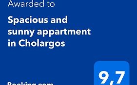 Spacious And Sunny Appartment In Cholargos