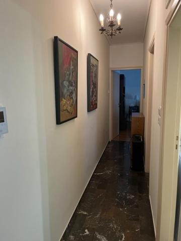 Spacious And Sunny Appartment In Cholargos Αθήνα Εξωτερικό φωτογραφία